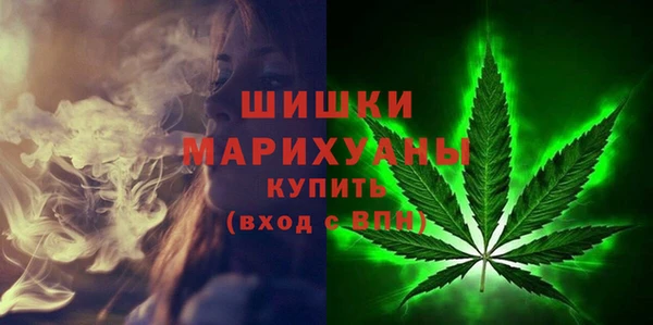 трава Корсаков