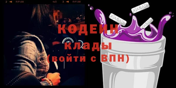 трава Корсаков