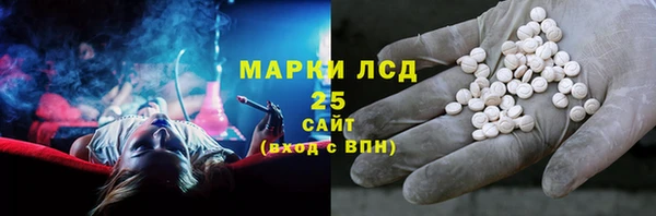 трава Корсаков