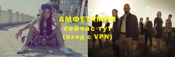 трава Корсаков