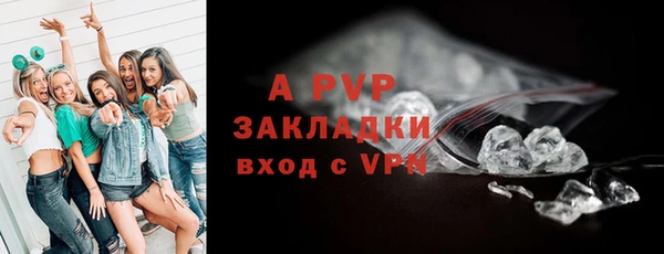 трава Корсаков