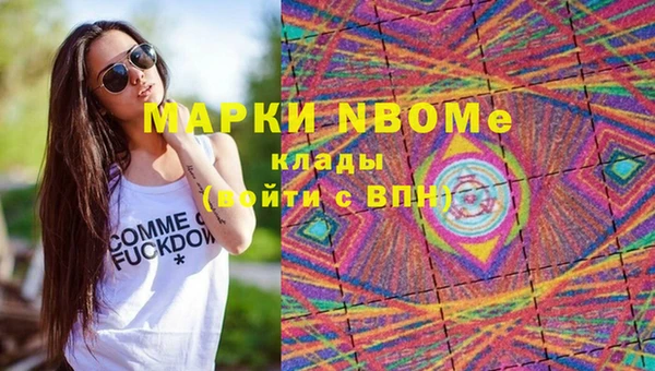 трава Корсаков