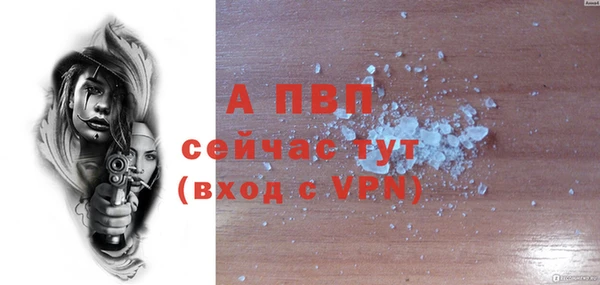a pvp Коряжма