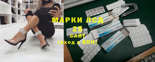 трава Корсаков