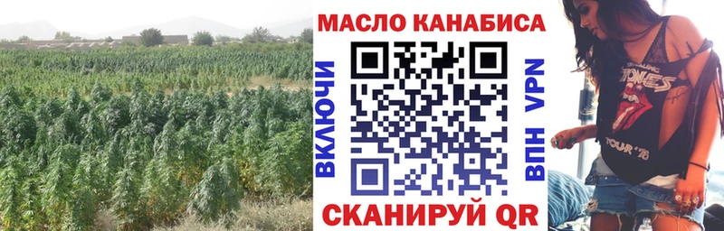 нарко площадка клад Шахунья Дистиллят ТГК гашишное масло KRAKEN сайт